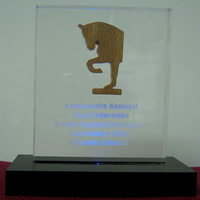 Trofeo retroiluminado